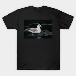 All at sea T-Shirt